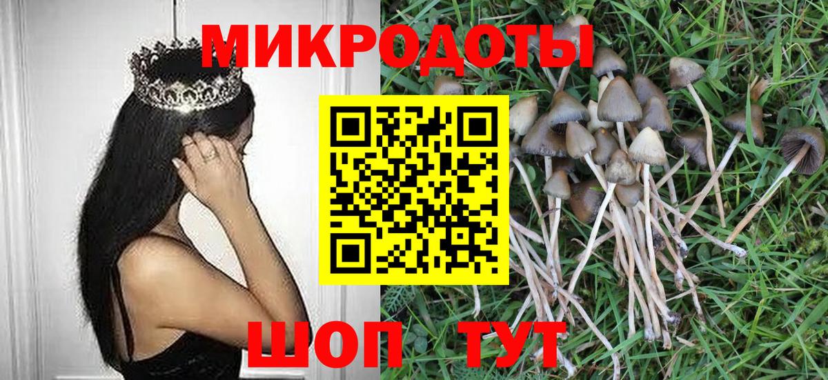 Псилоцибиновые грибы мицелий Астрахань